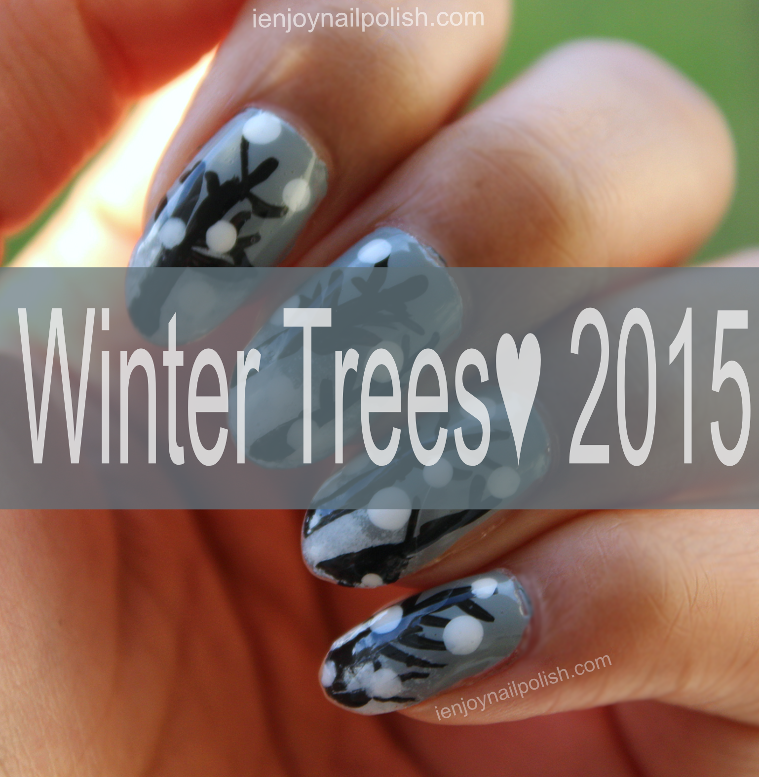 Winter Trees♥ 2015